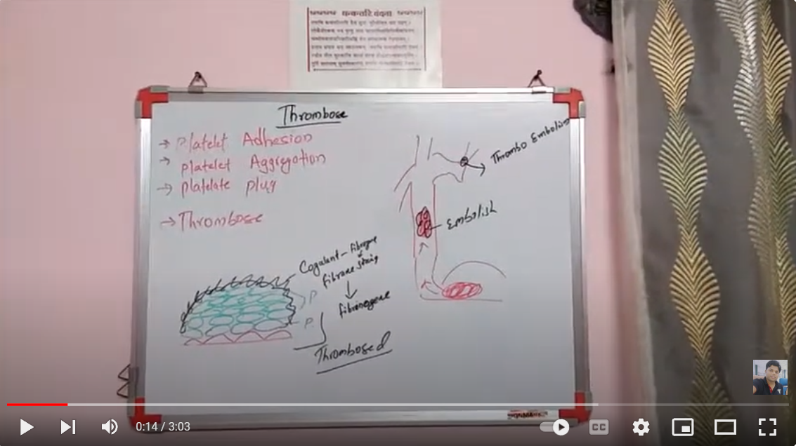 Basic of Thrombose